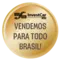 EFFA-Invest-Car-rio-Vendemos-para-todo-Brasil-Maior-2